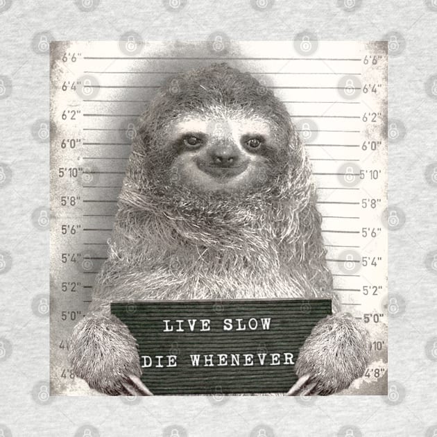 Sloth in a Mugshot - Print / Home Decor / Wall Art / Poster / Gift / Birthday / Sloth Lover Gift / Animal print Canvas Print by luigitarini